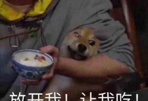 今年的吃瓜事件,笑料百出，揭秘娱乐圈风云